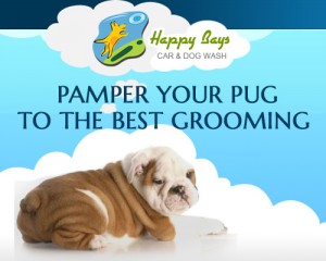 Pamper your Pug to the Best Grooming