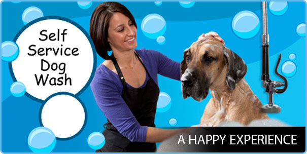 Dog Wash