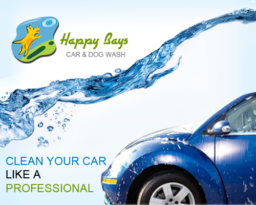 Clean Your Car like a Professional